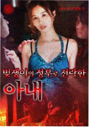 我的阿勒泰电视剧海报